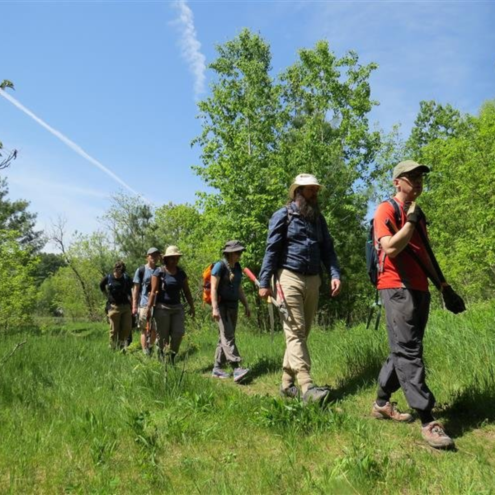 Randonnée de la Fierté 2025 à la réserve naturelle du boisé Seymour